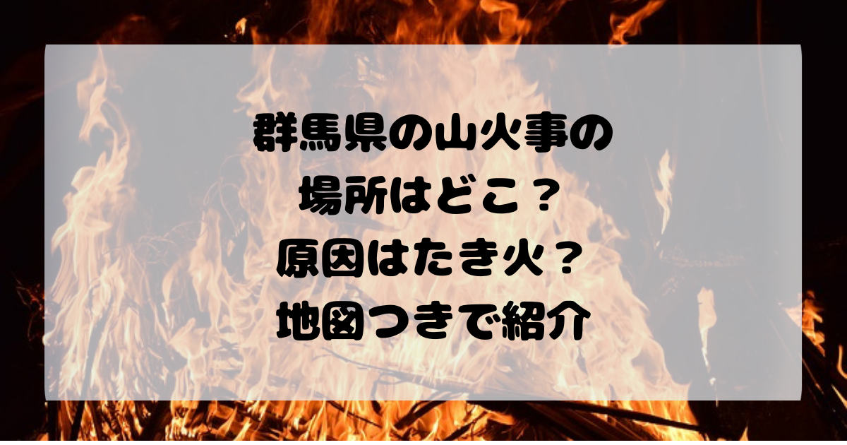 山 火事 桐生
