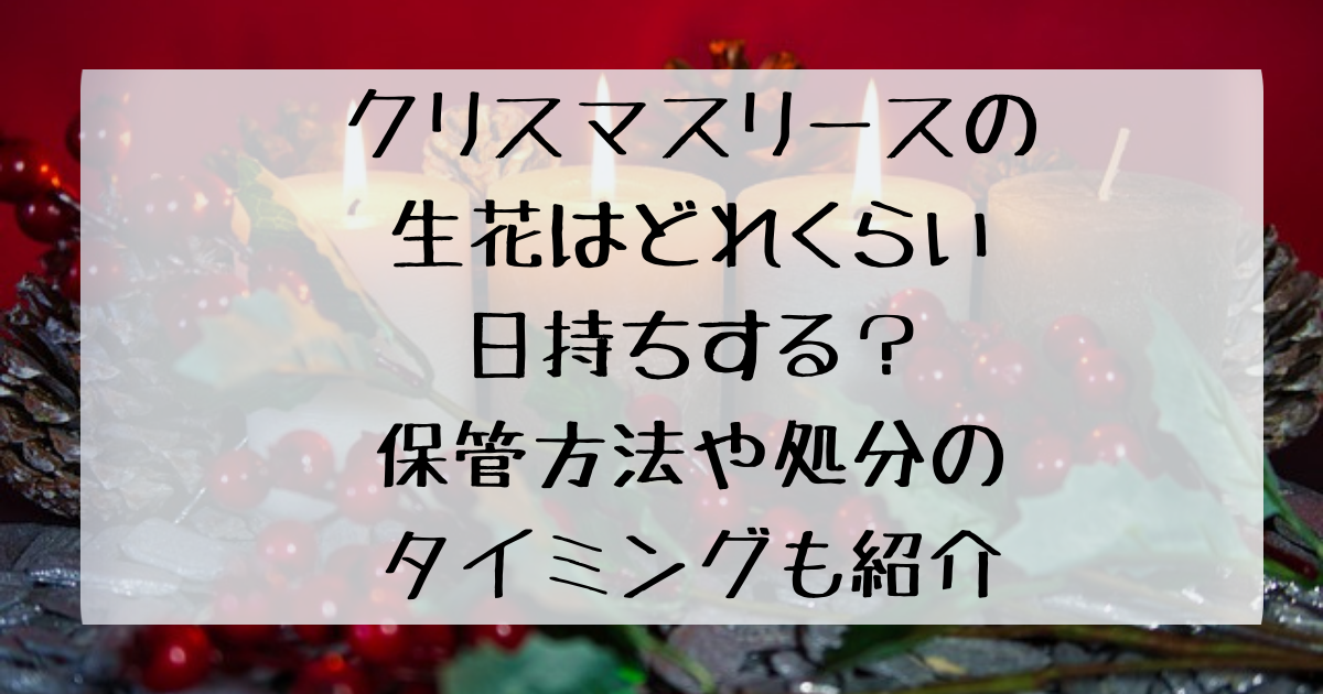 クリスマスリースの生花はどれくらい日持ちする 保管方法や処分のタイミングも紹介 四国の右ナナメ上